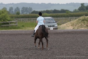 ISIS Dressage Challenge 2008